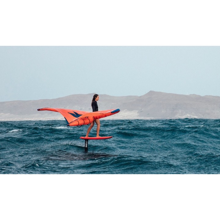 Plane Seven Seas V2 - Foil pour wing