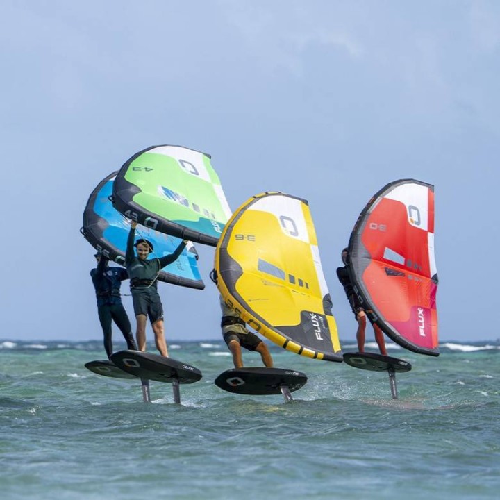 Ozone Flux V2 - aile wingfoil